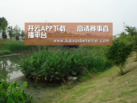 案例展示四(图1)