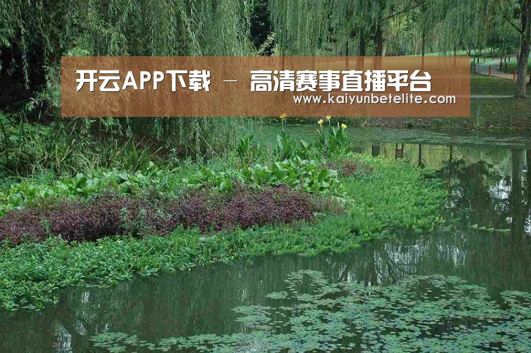 案例展示一(图1)