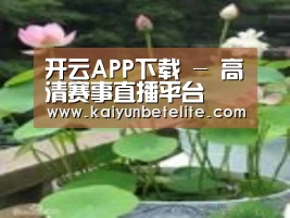 产品名称一