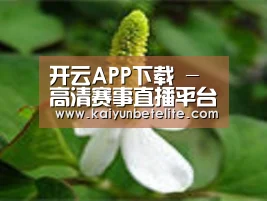 产品名称三