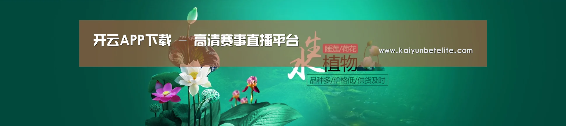 鲜花水草花卉网站模板
