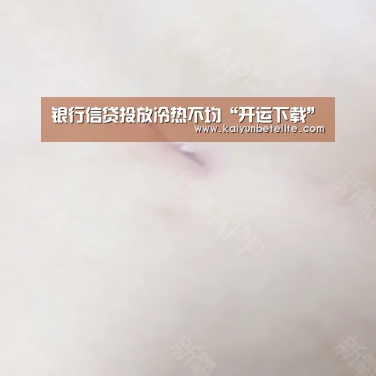 银行信贷投放冷热不均“开运下载”(图2) 开运体育