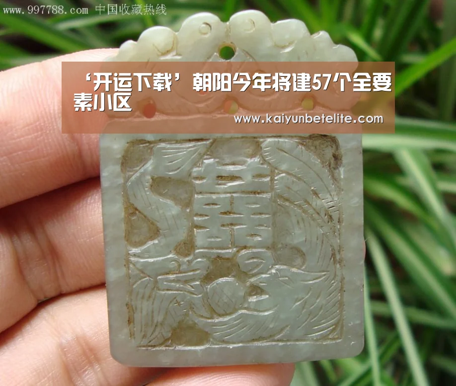 ‘开运下载’朝阳今年将建57个全要素小区(图4) 开运下载
