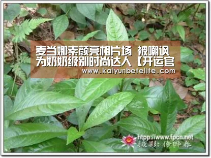 开运官网