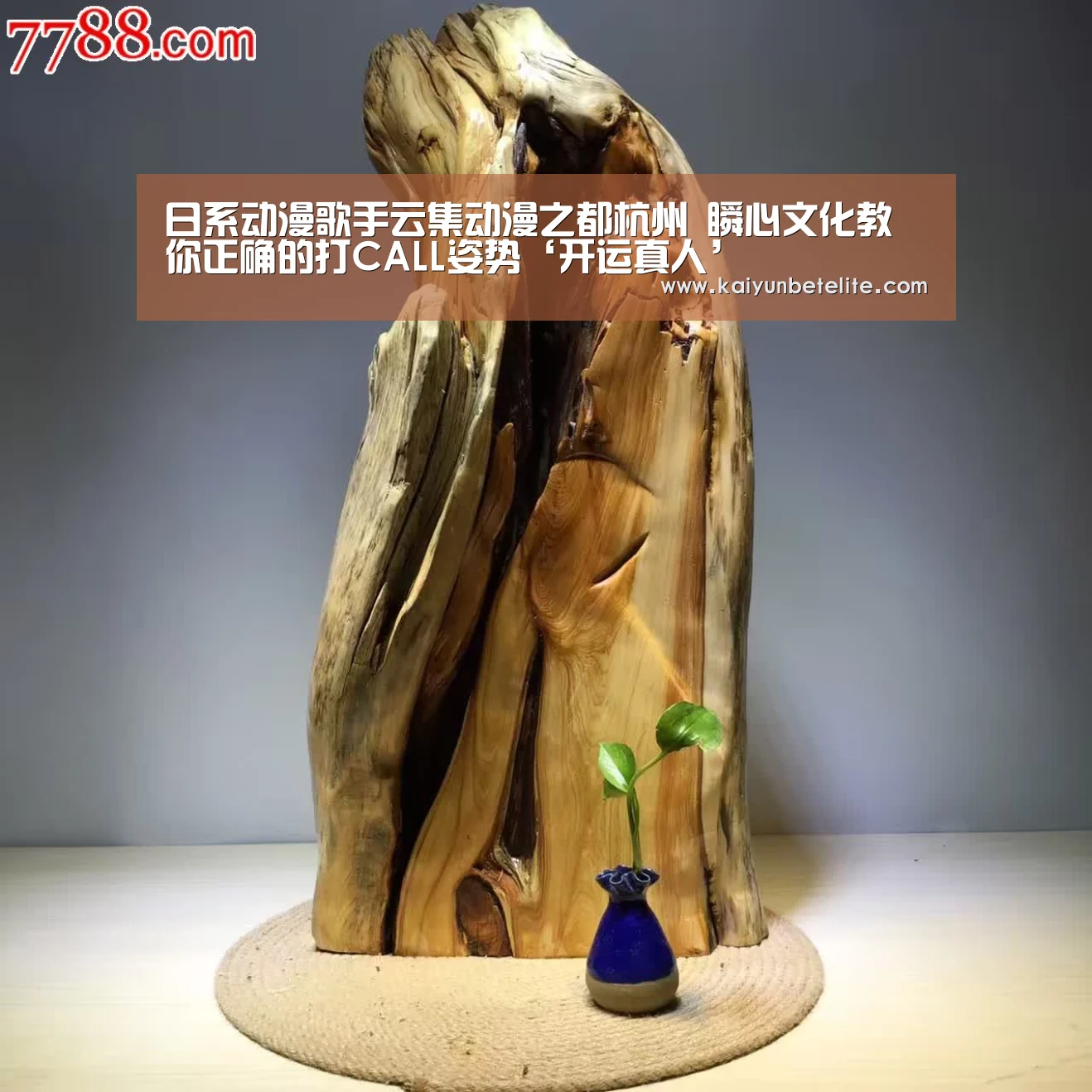 日系动漫歌手云集动漫之都杭州 瞬心文化教你正确的打CALL姿势‘开运真人’(图2) 开运真人