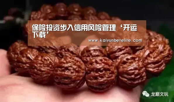保险投资步入信用风险管理‘开运下载’(图1) 开运下载